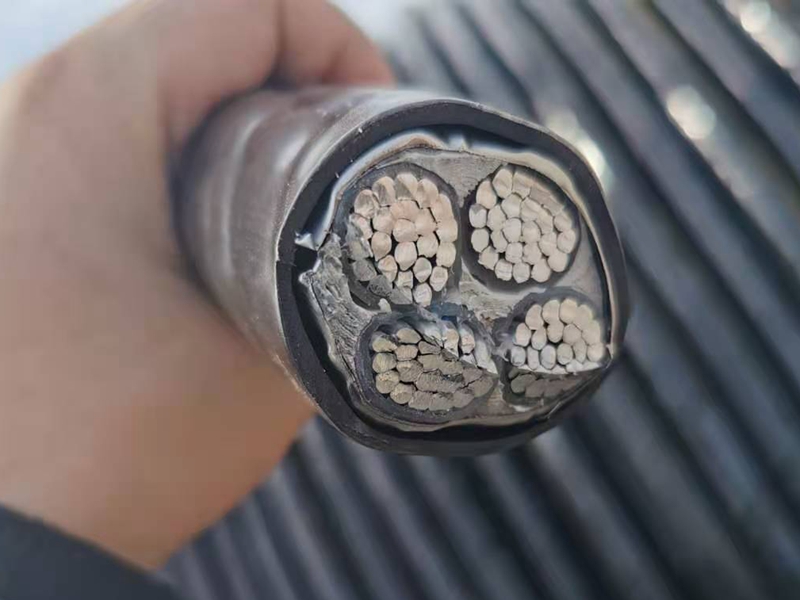 鎧裝電纜價(jià)格比普通電纜的貴憑什么？