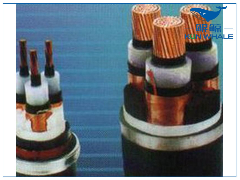 河南太平洋電纜淺談想要家裝電線不被坑，那就看好這五步