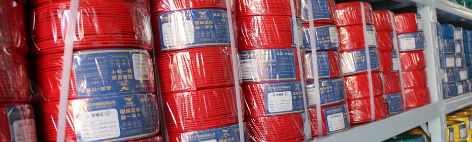 6平方電線 6平方電線價(jià)格 6平方電線廠家-河南太平洋線纜